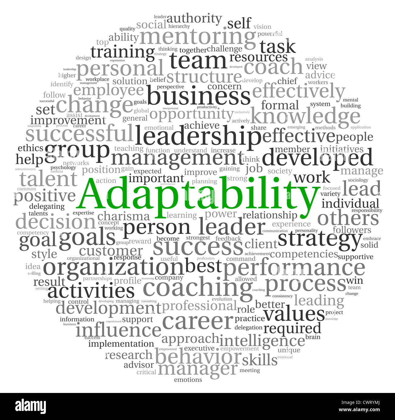 Adaptability