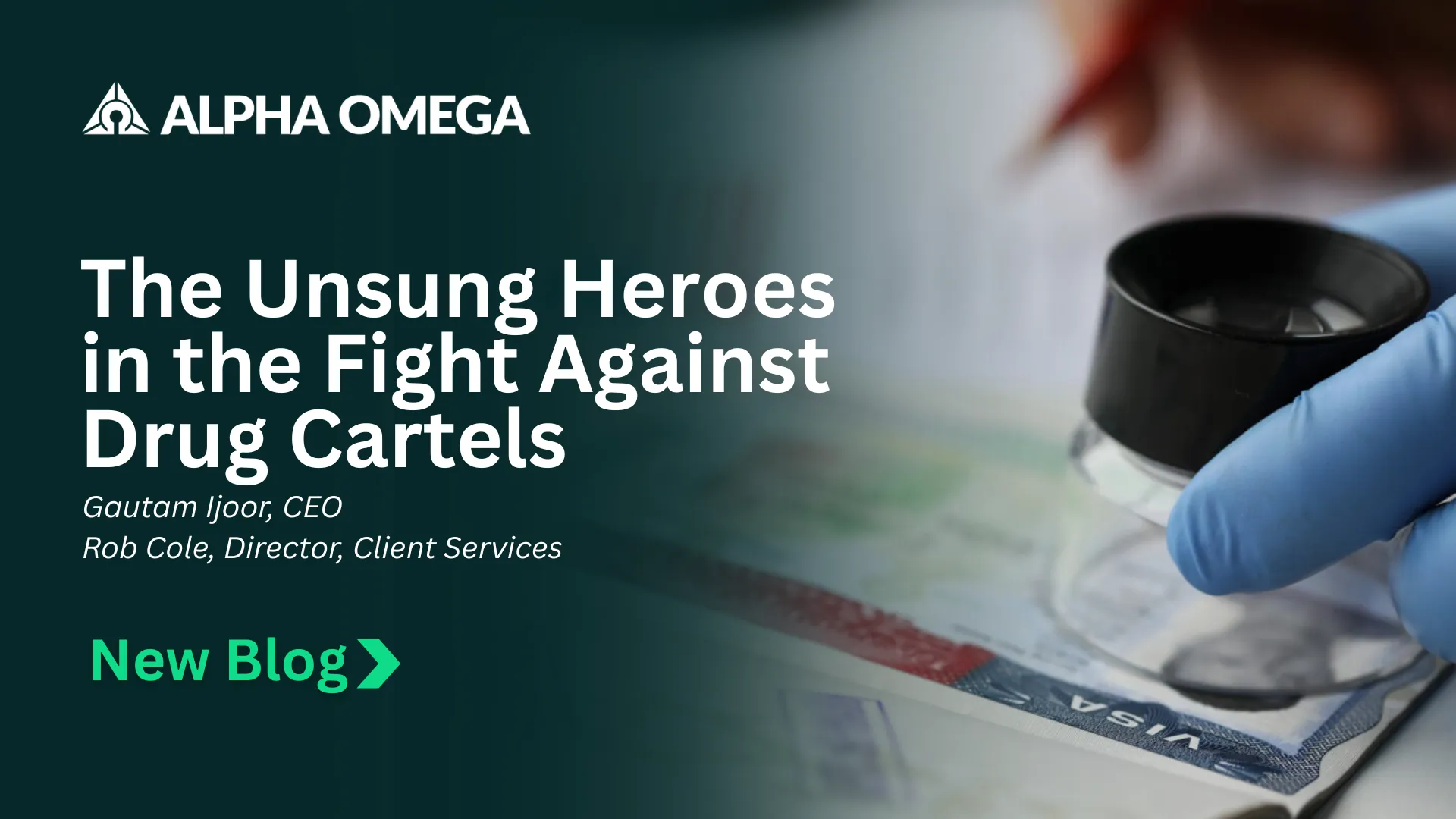 The Unsung Heroes in the Fight Against Drug Cartels